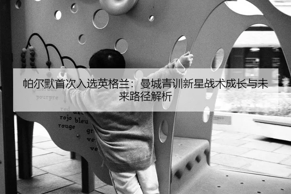 pa-er-mo-shou-ci-ru-xuan-ying-ge-lan-man-cheng-qing-xun-xin-xing-zhan-shu-cheng-zhang-yu-wei-lai-lu-jing-jie-xi-2-534.jpg